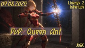 2020. J08C - PvP: Queen Ant
