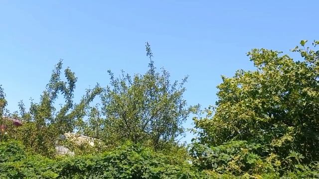 Прохода не будет! Выставили колышки. У Андрея дешевая картошка!