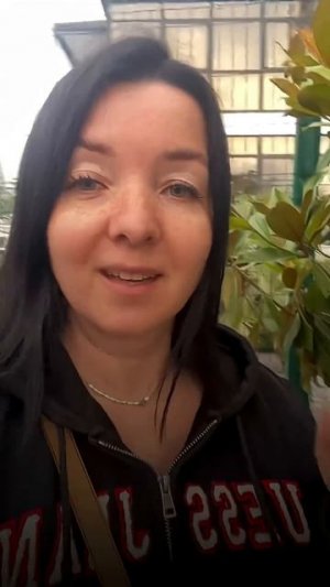 Миф:«Магнолия - смертельно опасна»✅ Факт: опасны паника, мифы и отсутствие критического мышления.
