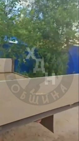 Измученного льва изъяли у горе-блогера. Его увезли в местный зоопарк