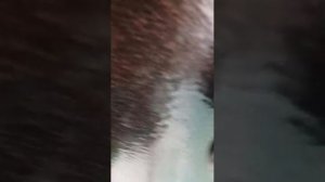 пранк день 2