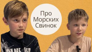 Морские свинки