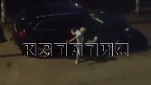 Руками, ногами, кирпичами и дубинами женщина громила машины припаркованные в её дворе