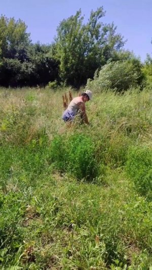 Желаю вам счастья..... 10.07.25.