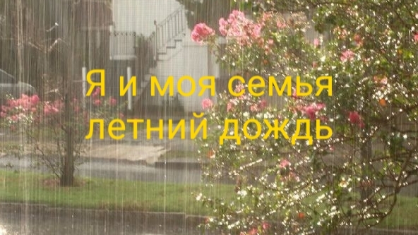 Летний дождь на даче