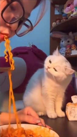 Вкусно тебе, да?
