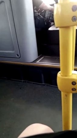 Спор водителя автобуса и школьницы в Тверской области