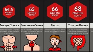 Самые Болезненные Места Для Выстрела