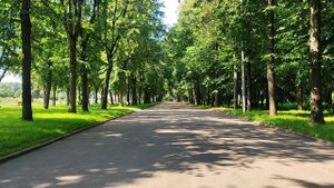 Москва. Воробьёвы горы. Лужники. Москва-река. Июль 2025