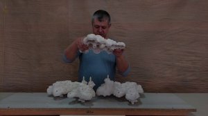 ГКФ-28 Скейп из биокерамики , для морского аквариума.