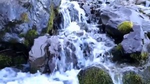 ЗВУКИ ПРИРОДЫ Журчание воды пение птиц ШУМ ГОРНОГО ВОДОПАДА РЕКИ