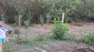 ЗАГОТОВКИ НА ЗИМУ/ НУ НАЧАЛОСЬ