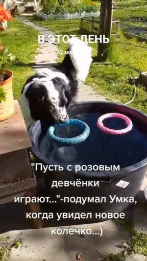 Новая игрушка...)))
