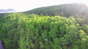 Рыбалка на реке Агнево. Красоты Сахалина. Песню исполняет Игорь Слуцкий