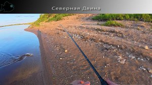 Не смотря на холодрыгу, рыба поклевала