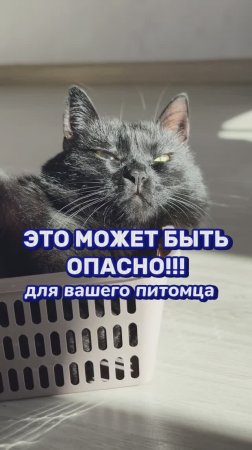 Артикул на WB #234577722  Ozon #1664064287  #Чистящаяпаста - мое идеальное средство уборки!