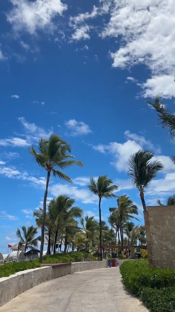 Доминиканская республика | Пунта-Кана | Hard Rock Hotel & Casino Punta Cana 5*