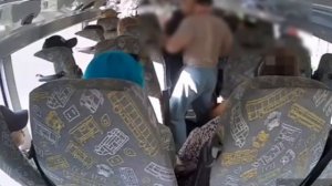 ‼️В Сергиевом Посаде в автобусе произошёл конфликт между водителем и пассажира с питомцем‼️
