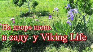 #381 Июнь в саду у Viking Life