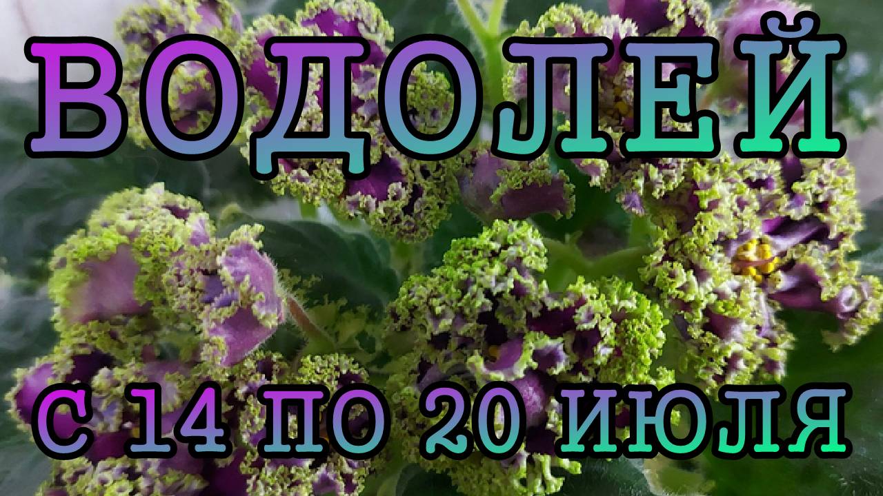 ВОДОЛЕЙ таро прогноз на неделю с 14 по 20 ИЮЛЯ 2025 года.