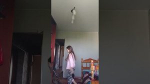 нити и краски