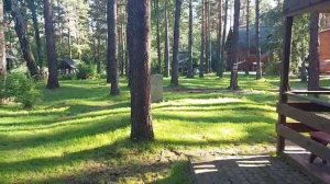 Утро туриста на базе «Глобус Плюс» глазами жителя мегаполиса — настоящее пробуждение души на Алтае!
