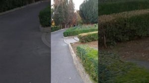 VID_20241007_180110