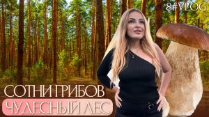 VLOG #8 Лес, грибы, Тамбов, Парикмахерская