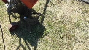 О посеве редьки