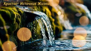 Словно хлеба искала... ♥️ христианская песня