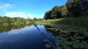 Моя рыбалка