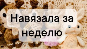 вязовлог 27/2025 навязала за неделю