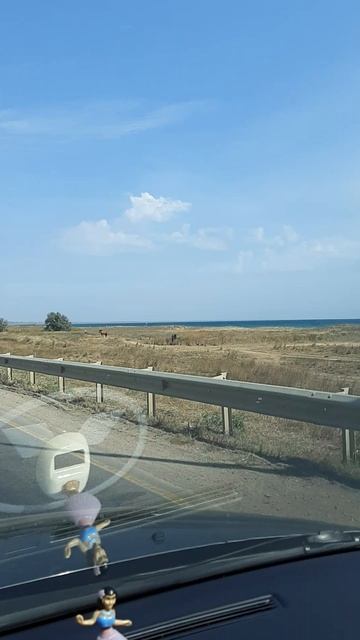 Дорога у моря в Приморский #море #дорога #лето #свобода #sea #road #roadtrip #sun #summer #like #да смотреть онлайн