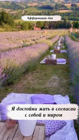 Аффирмация дня