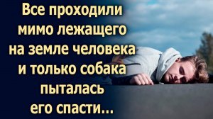 Все проходили мимо лежащего на земле человека и только…