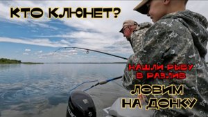 КТО КЛЮНЕТ? ЛОВИМ НА ДОНКУ В РАЗЛИВ ВЕСНОЙ 2025