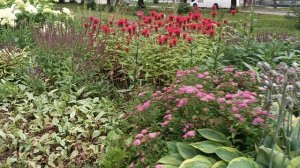 Красота есть везде.