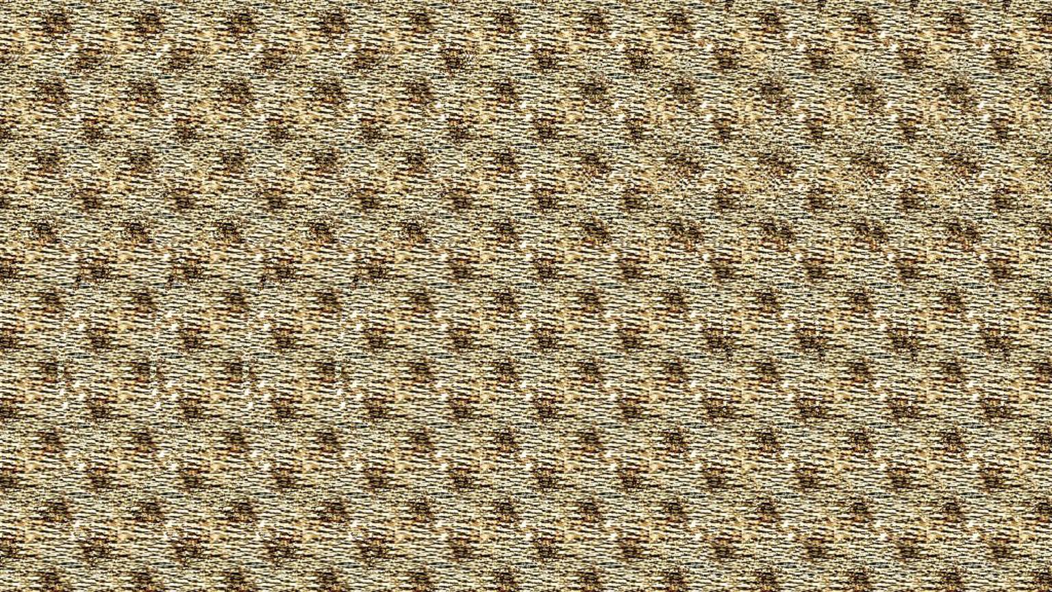 Отдохни глазами: утреннее видео, которое лечит взгляд • Утренний кофеграмма