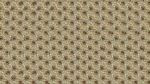 Отдохни глазами: утреннее видео, которое лечит взгляд • Утренний кофеграмма