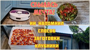 Робот ПЫЛЕСОС долго сомневалась,а ЗРЯ! Будем ПЕРЕДЕЛЫВАТЬ, но сначала ВОДООТВОД. Клубничные ЧИПСЫ🔥