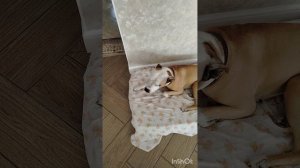Вот_как_мы_без_их_любви