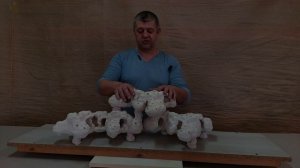 КДПЛ-5 Декорация из биокерамики , для морского аквариума.