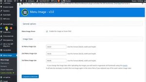 Добавить иконку в меню wordpress
