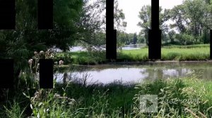 Влог 58. Клубника. Покупки. Трель птички. Отдых на воде.