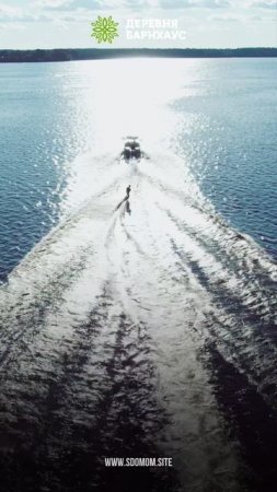 Погнали купаться! Можайское море ждет
