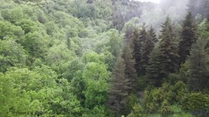 Эта мелодия - лучшее сопровождение закатов - Little Bear - long (ID 780) -- Lobo Loco -- Round the W