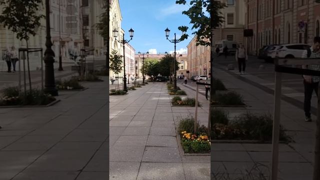 Прогулка по Малой Конюшенной улице.     🌹                       

В Духе Петербурга