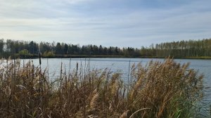 Концерт "Уголок России, отчий дом!" в деревне Кукушкино.