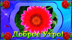 ДОБРОГО СУББОТНЕГО УТРА! ВЫХОДНЫХ ВАМ ЗАМЕЧАТЕЛЬНЫХ ДРУЗЬЯ! ! ХОРОШЕГО НАСТРОЕНИЯ! 💌🌞🌺🌺🌺