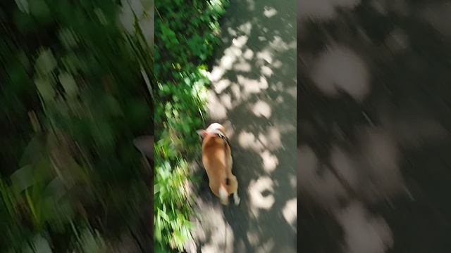 Сеня как сыщик, всю дорогу что то искал))